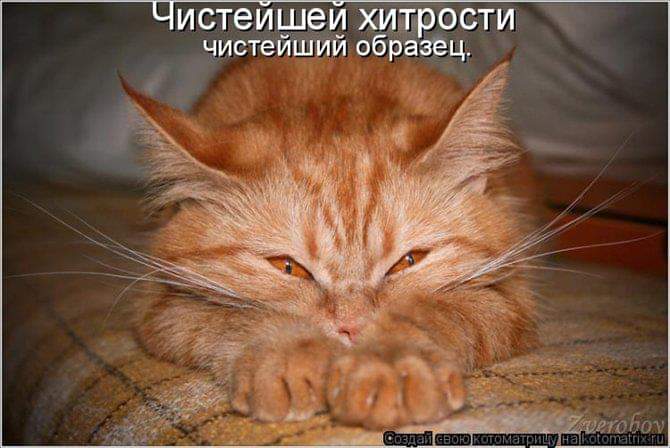 хитрость